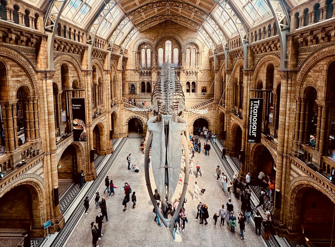National History Museum